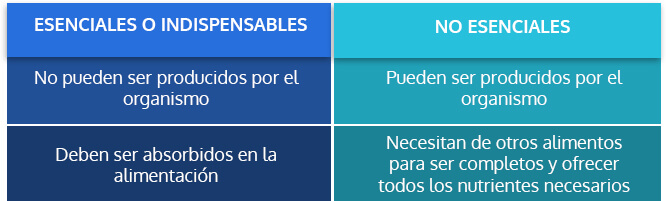 Proteína: Lo que tu cuerpo necesita para estar siempre sano