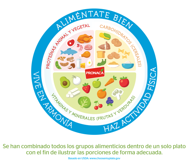 Plato nutricional