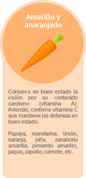 La meditación, el camino hacia un estilo de vida renovado