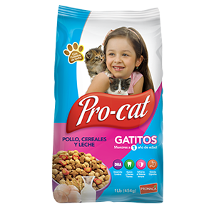 D-Procat-Gatitos