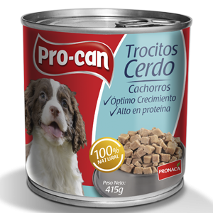 cerdo-cachorros-415g1